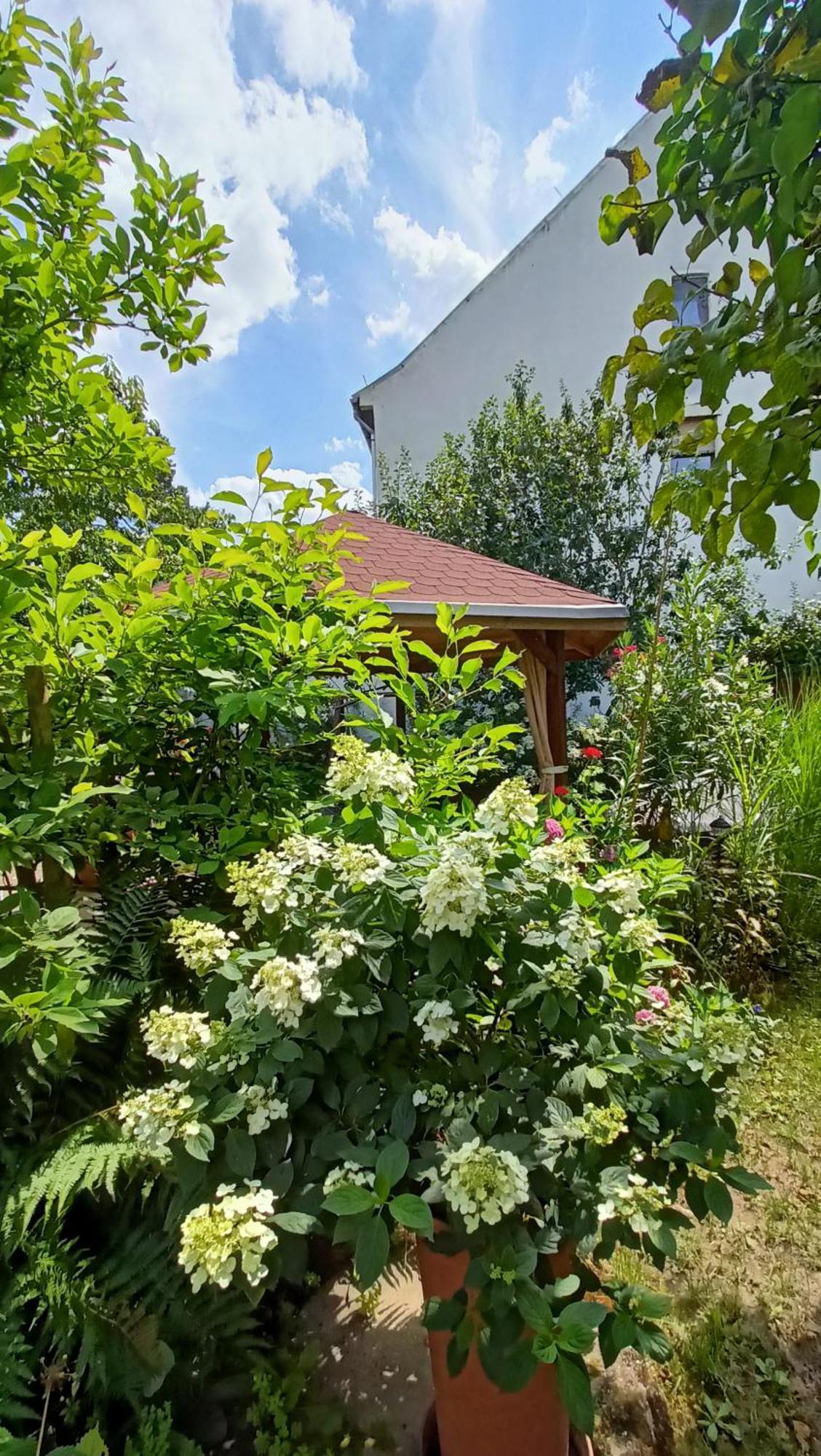 Obermoschel Urlaub Mit Charme In Der Kleinsten Stadt Der Pfalz. מראה חיצוני תמונה